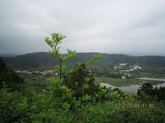 neo_img_img_3527.jpg