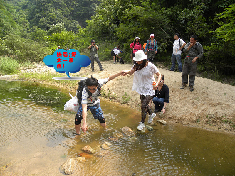 dscn9361_.jpg