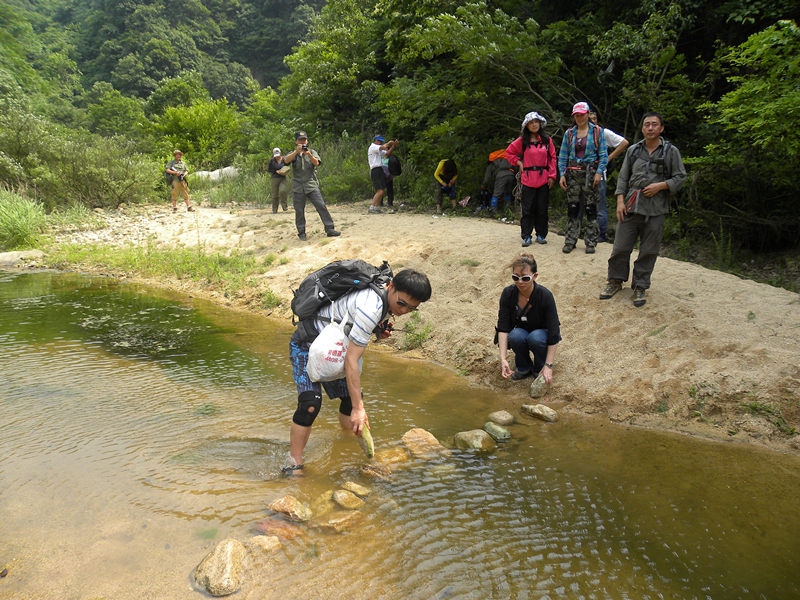 dscn9363_.jpg