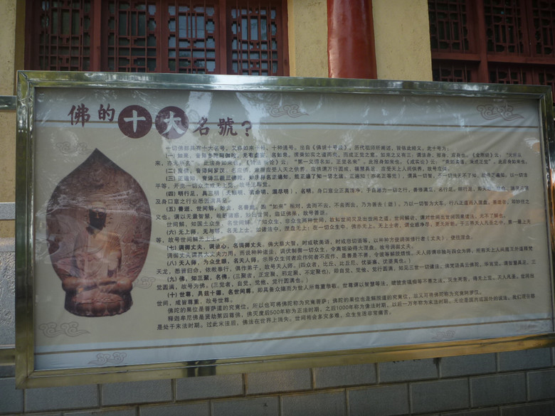 p1110693_.jpg