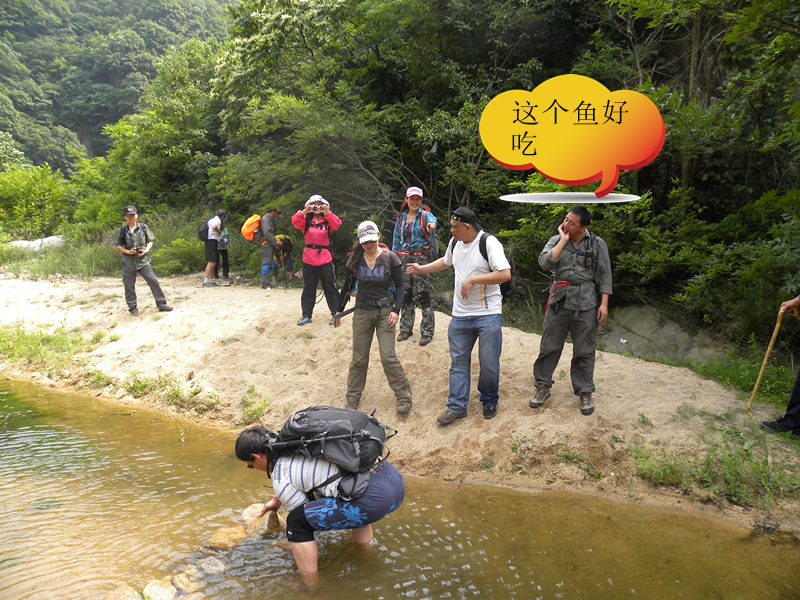 dscn9365_.jpg
