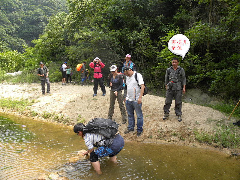 dscn9366_.jpg