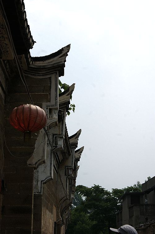 dsc00625.jpg