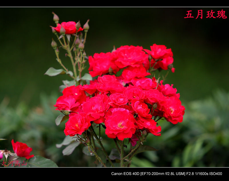 img_1981.jpg