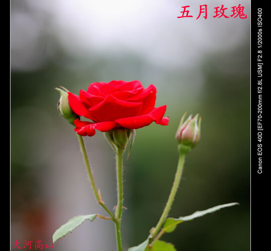 img_1967.jpg