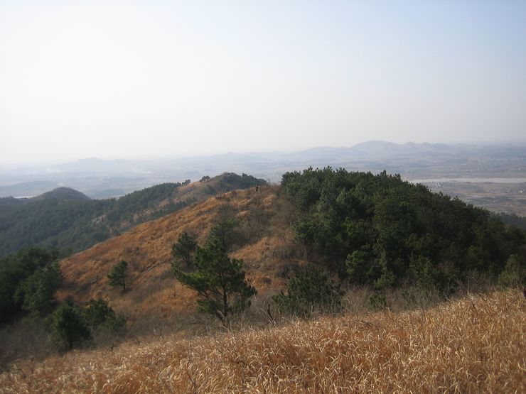 20101231 029.jpg
