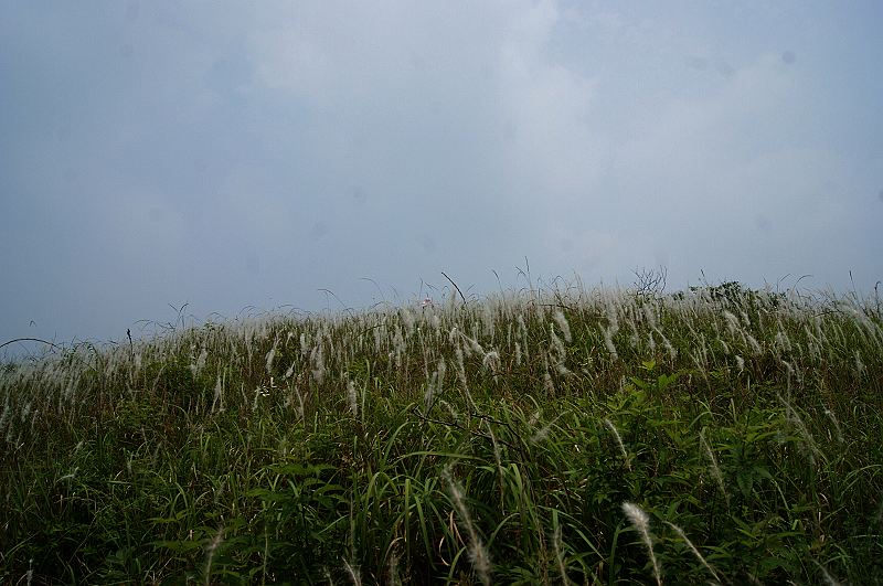 dsc00664.jpg