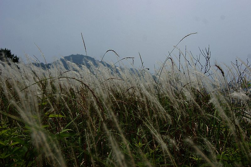 dsc00665.jpg