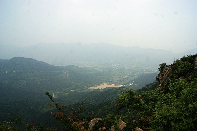 dsc00674.jpg