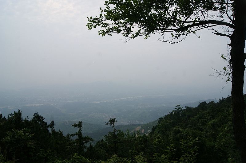dsc00677.jpg