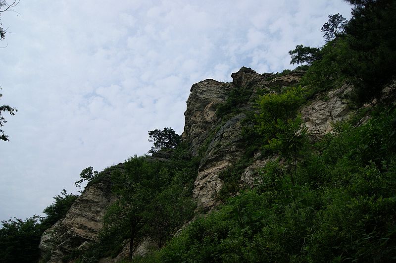 dsc00681.jpg