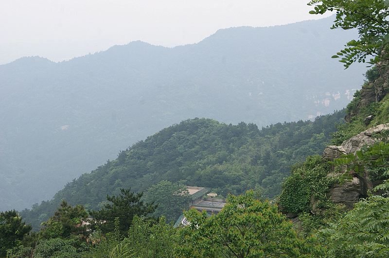 dsc00699.jpg