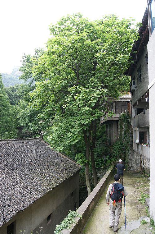 dsc00719.jpg