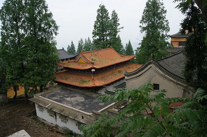 dsc00732.jpg