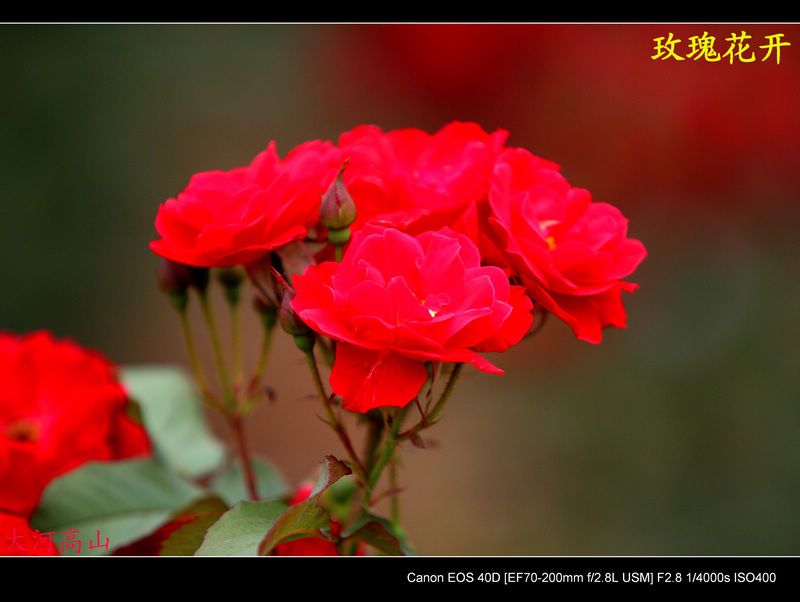 img_2056.jpg