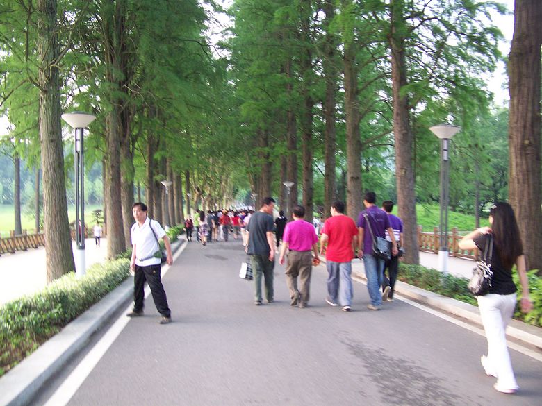 neo_img_100_7012.jpg