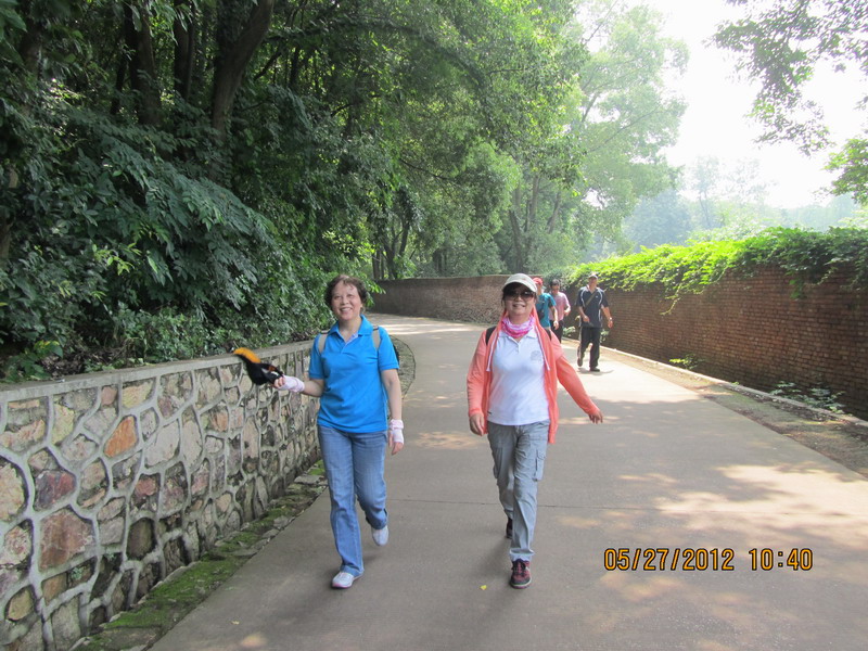 img_0042111.jpg