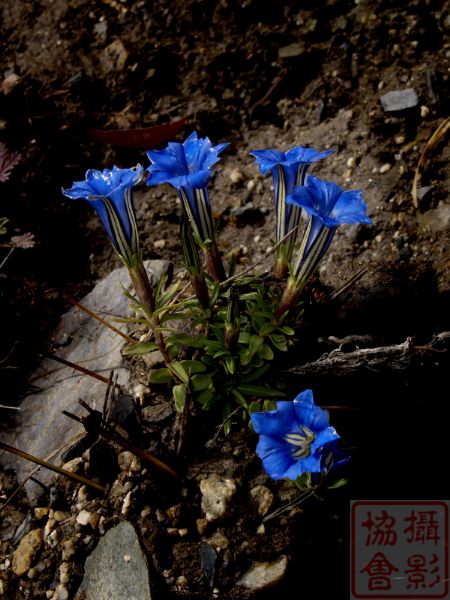 20061002018 by .jpg