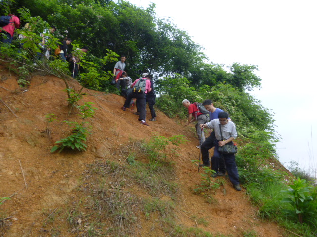 p1020694.jpg