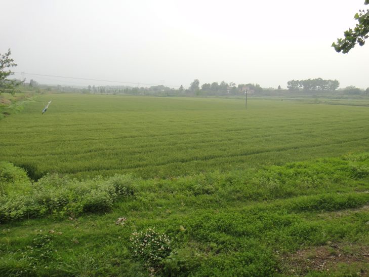 dsc08510.jpg