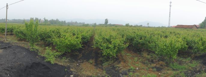 dsc08497.jpg