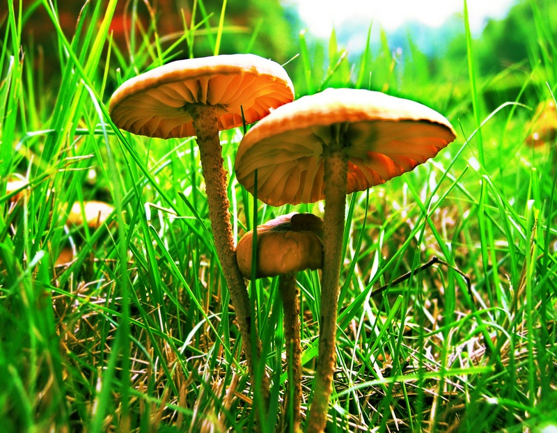 dscn57300.jpg