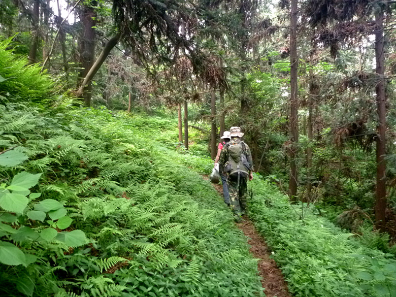 p1110531_.jpg