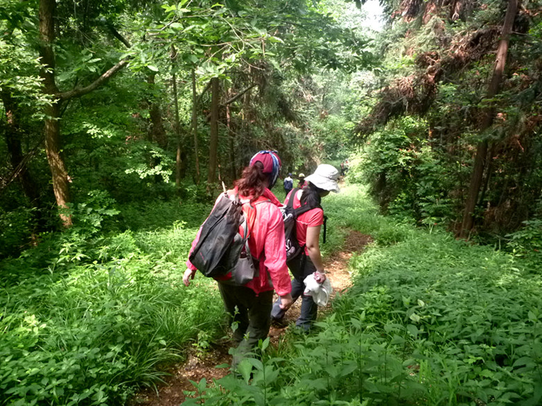 p1110533_.jpg