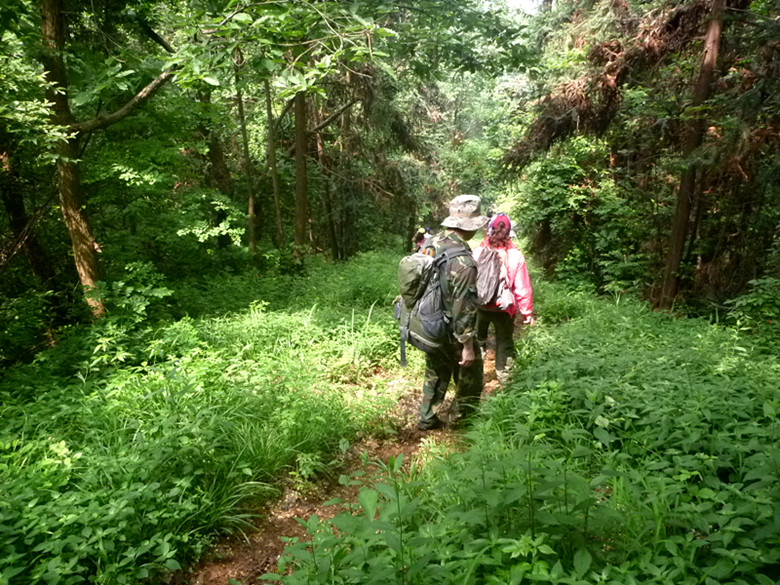 p1110534_.jpg