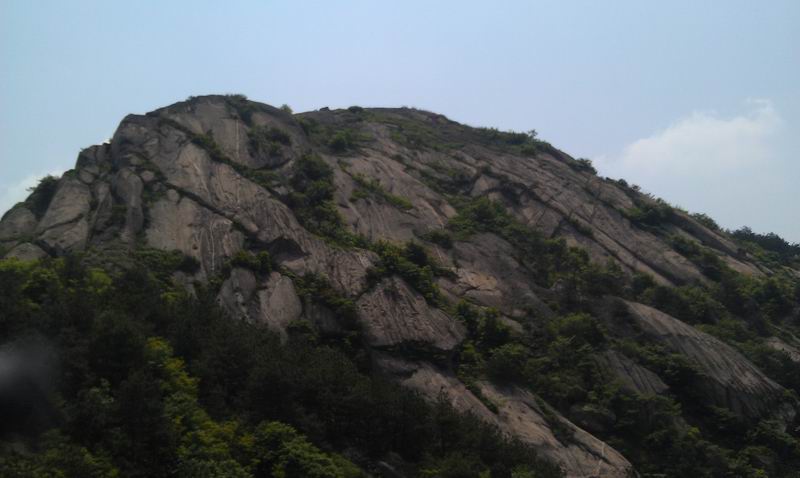 С imag0047.jpg