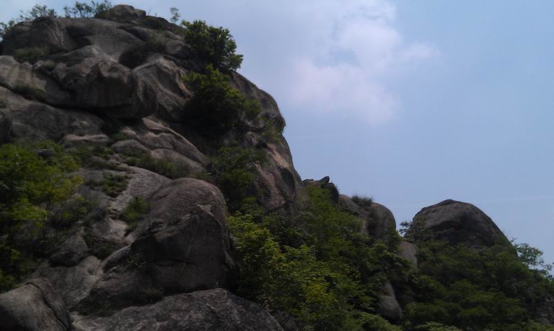 С imag0057.jpg