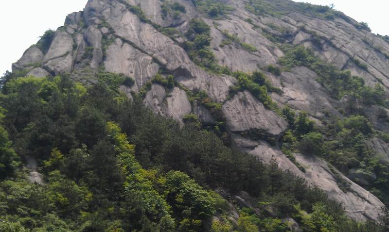 С imag0058.jpg