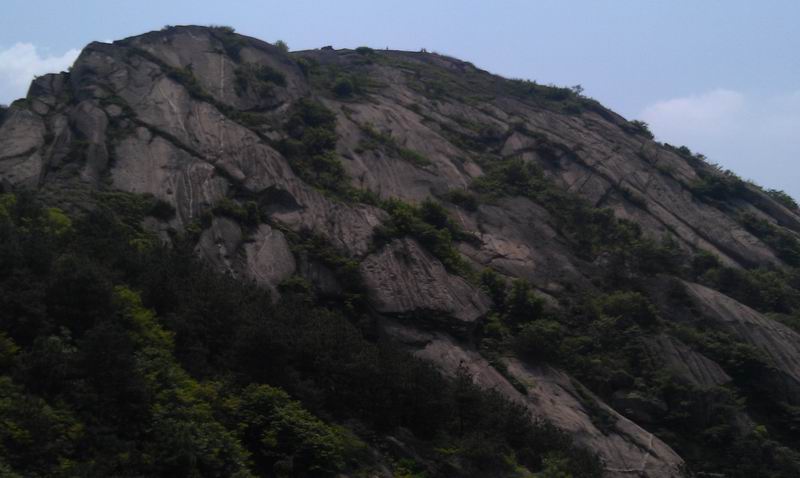 С imag0059.jpg