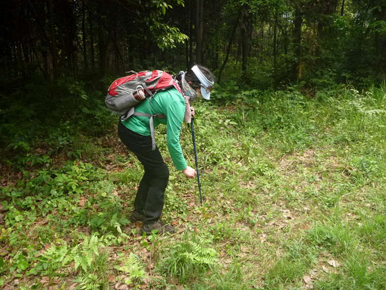 p1110536_.jpg