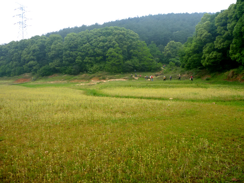 p1110552_.jpg