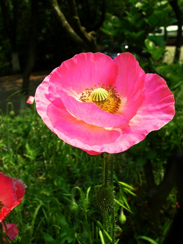 dscn5808a.jpg