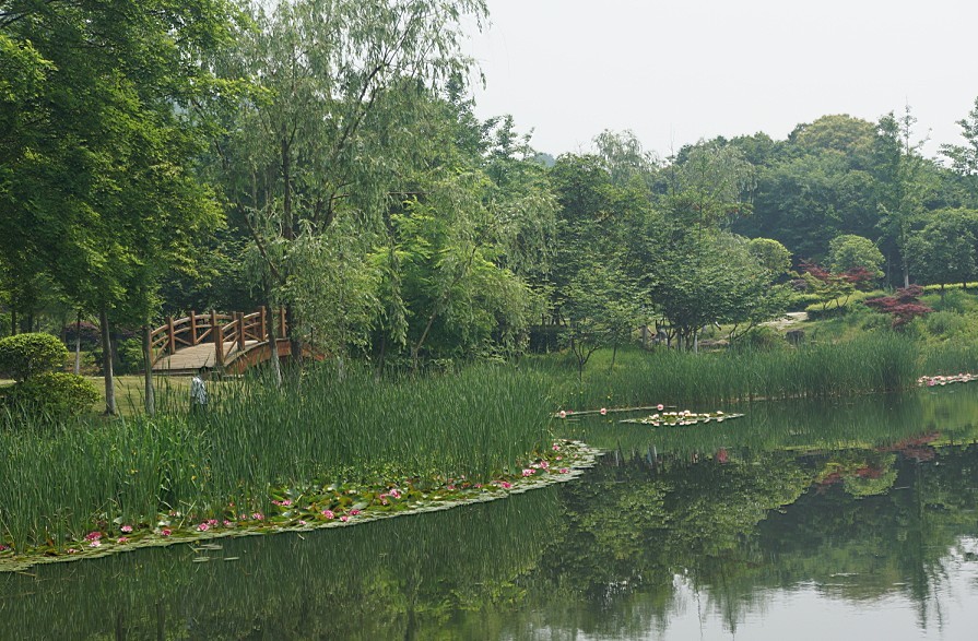 57.jpg