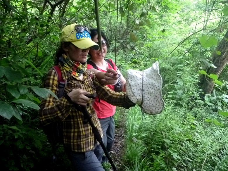 p1110561_.jpg