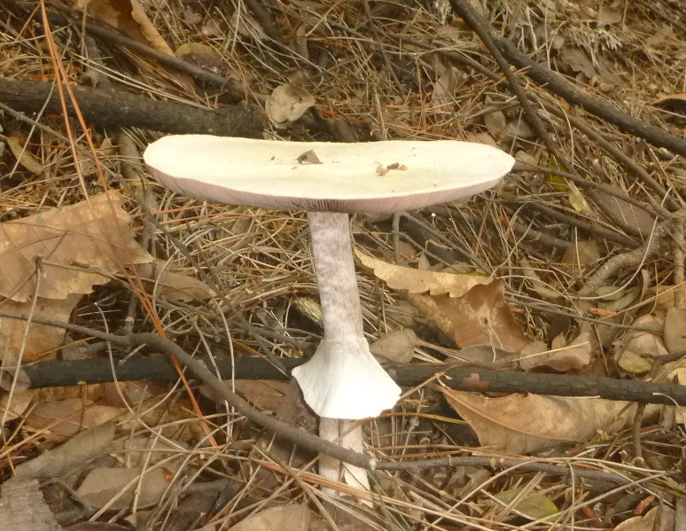 p1110563_.jpg