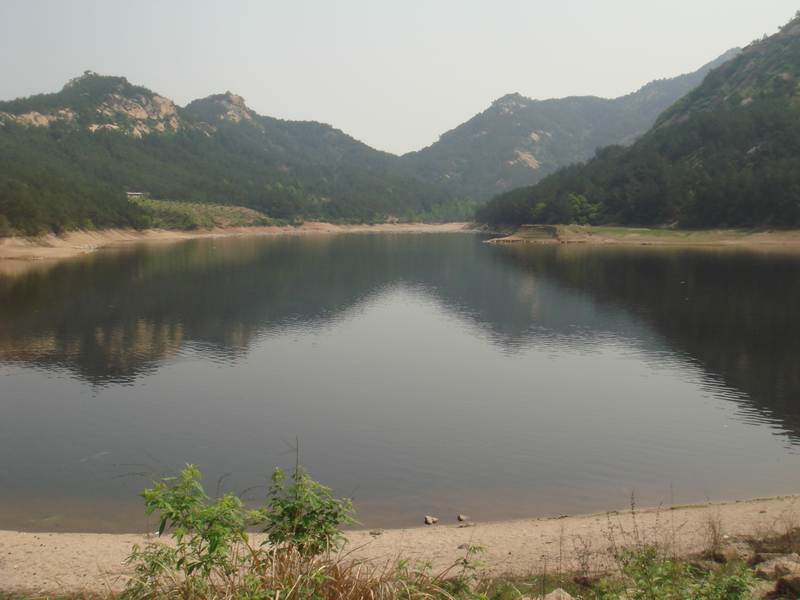 dsc00298.jpg