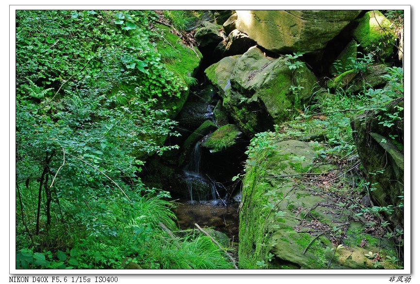 dsc_8957_neo_img_neo_img.jpg