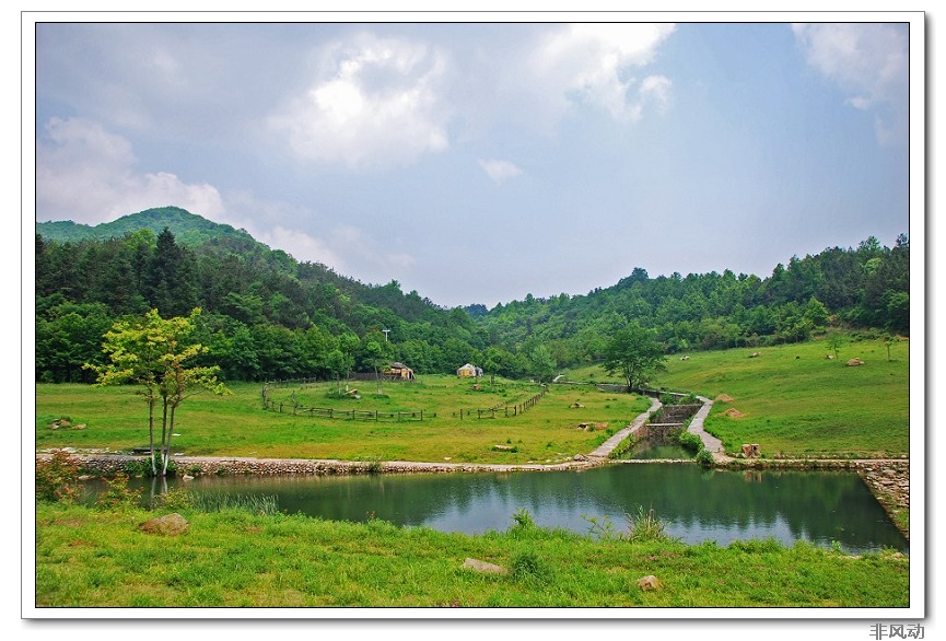 dsc_8985_neo_img_neo_img.jpg