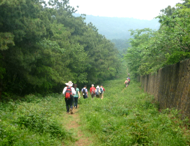 p1110572_.jpg