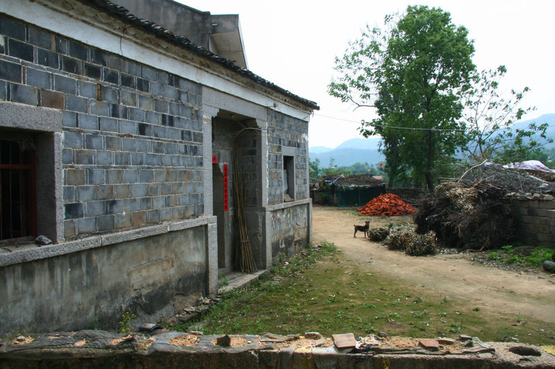img_4016.jpg