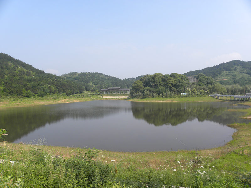 dscn9916_����.jpg