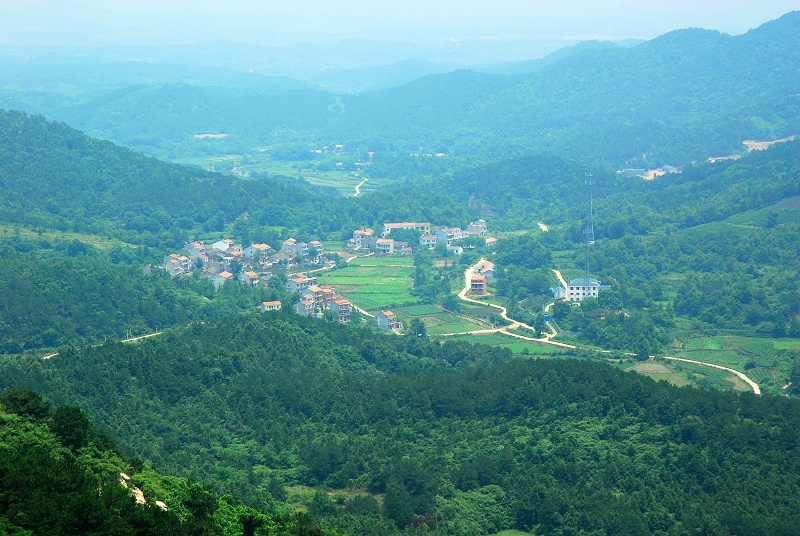 dsc_0041.jpg