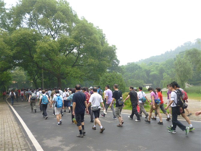 psbca86z140.jpg