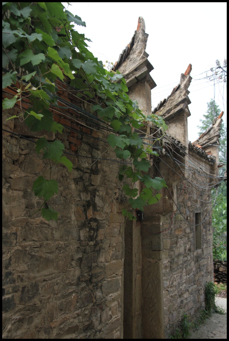 conew_ڷСկ 148.jpg