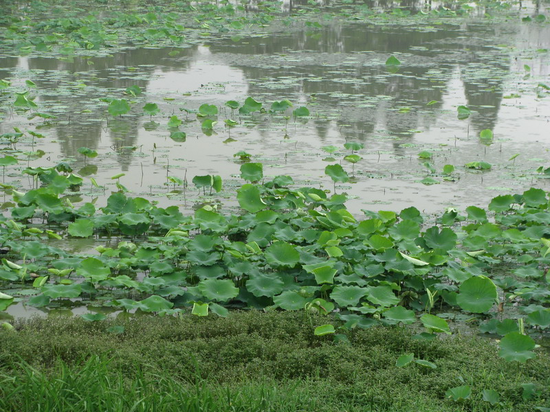 img_4431_СС.jpg