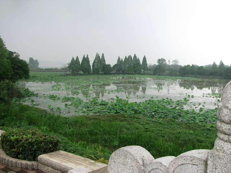 img_4430_СС.jpg